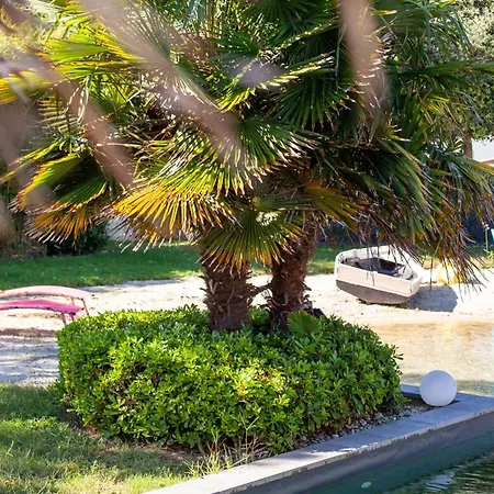 Lagon Naturel Et Detente - Pour 6 * סן-ונסן-סור-ז'אר